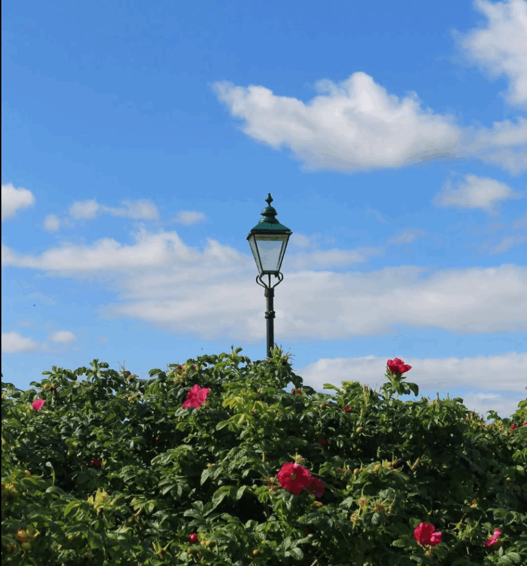 screenshot 2025 07 13 182323