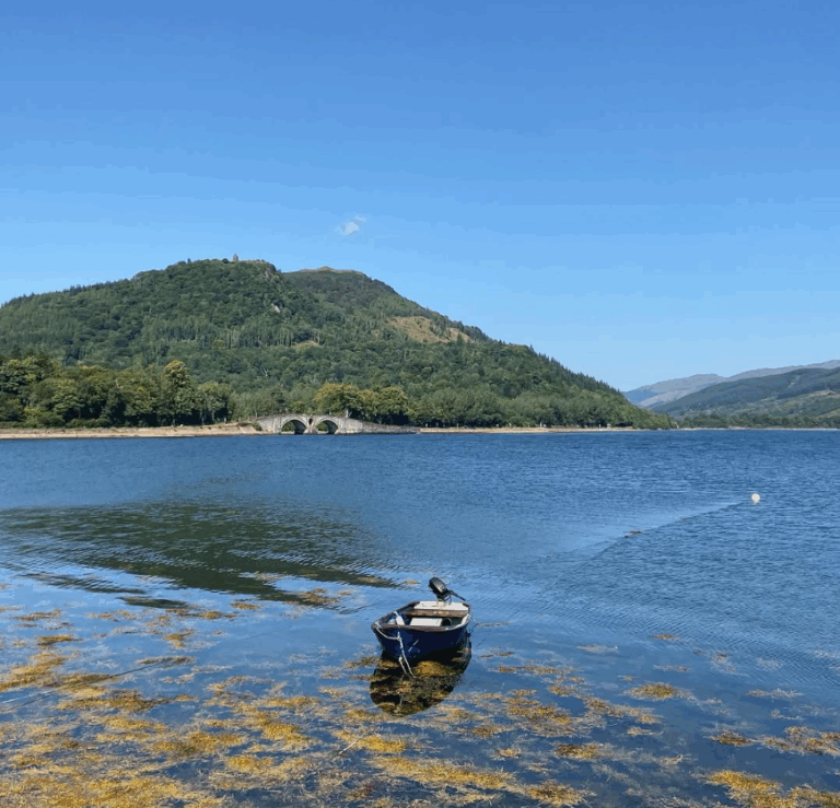 screenshot 2025 07 13 182342