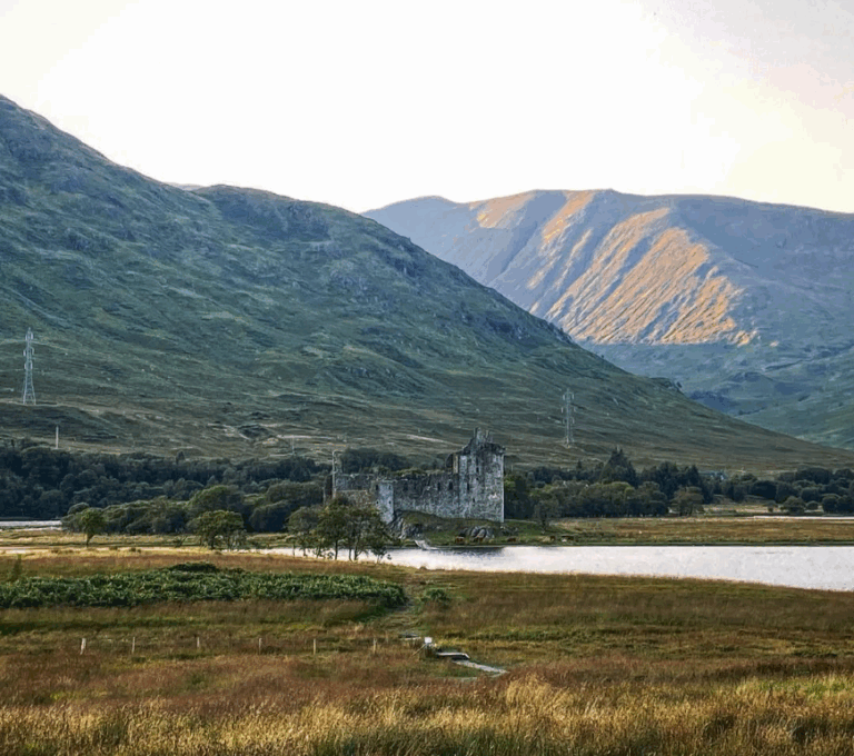 screenshot 2025 07 13 182519